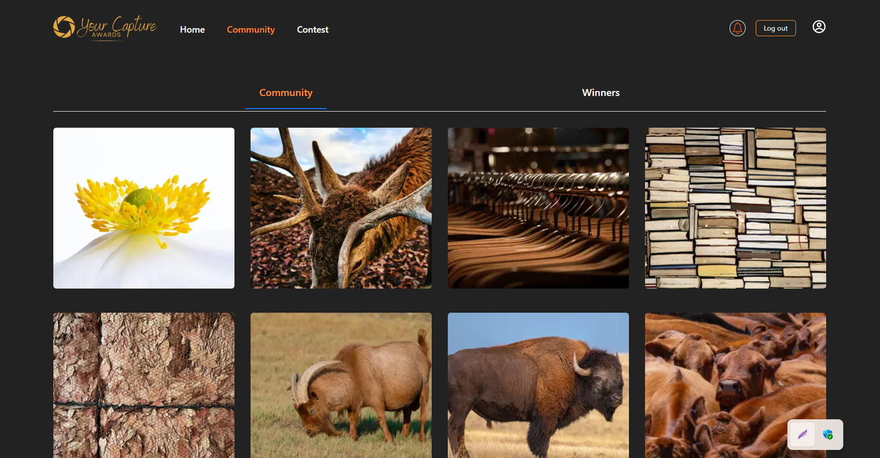 Your Capture Awards homepage